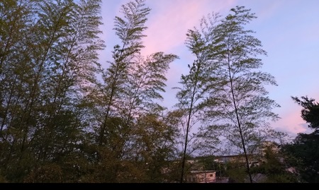 Screenshot_20251018-131312