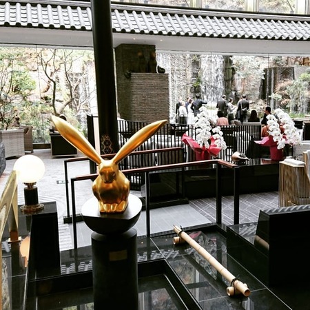 53109703_608741679591350_7131994889592405730_n