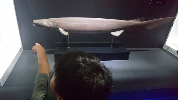 IMG_20170727_170006_980