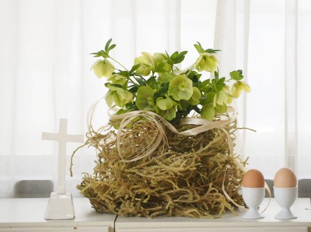 IMG_20200411_224558_995