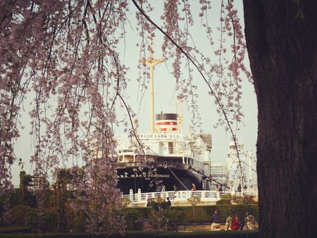 IMG_20190404_101245_794