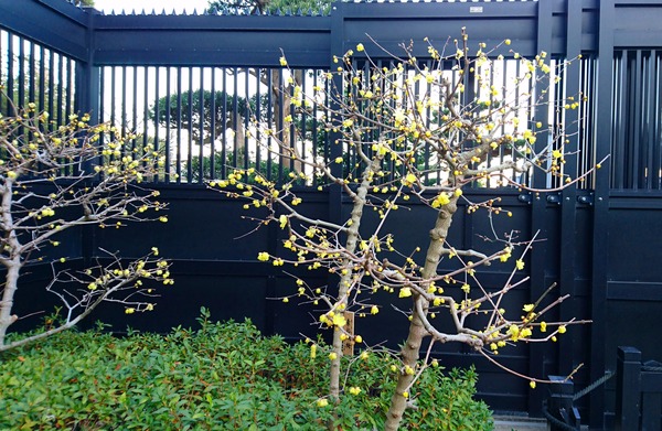 IMG_20180119_101429_403