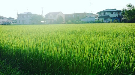 IMG_20190808_125834_163