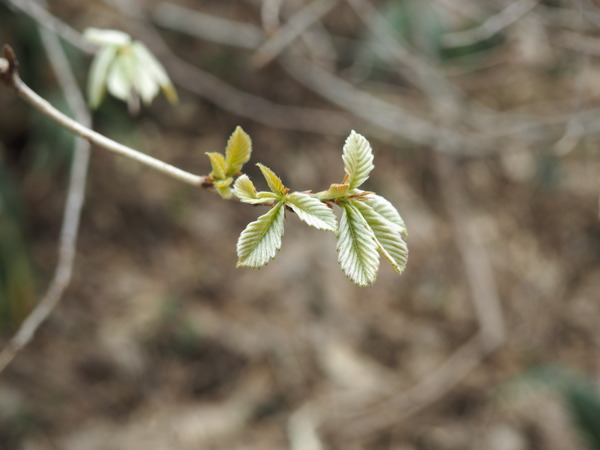 P4170990