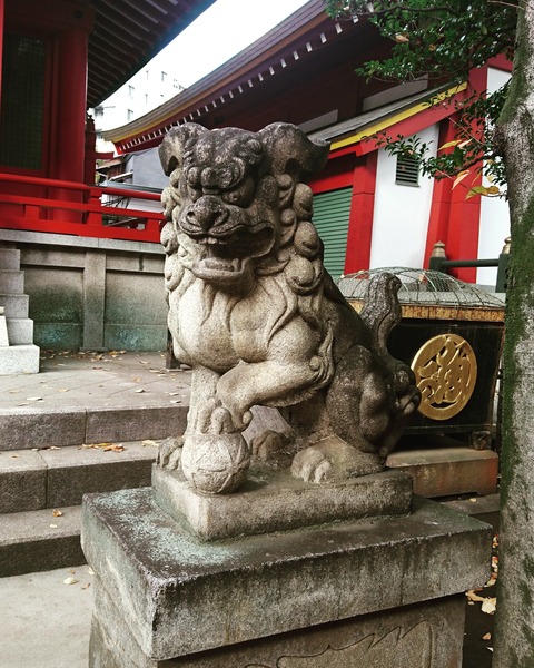 IMG_20171214_182657_202