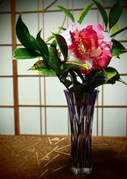 Ja2LnFFe2EynCjs1451751617_1451751675