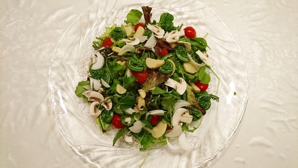 IMG_20170422_011650_036