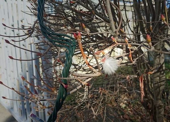 IMG_20170101_142758_443