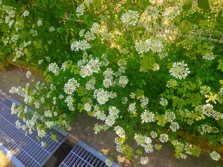 20230617_134529-EFFECTS