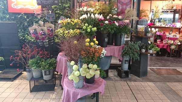 IMG_20170929_191427_877