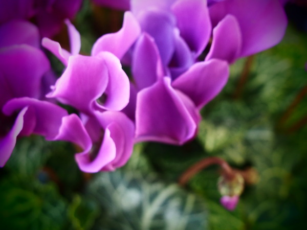 PC110316