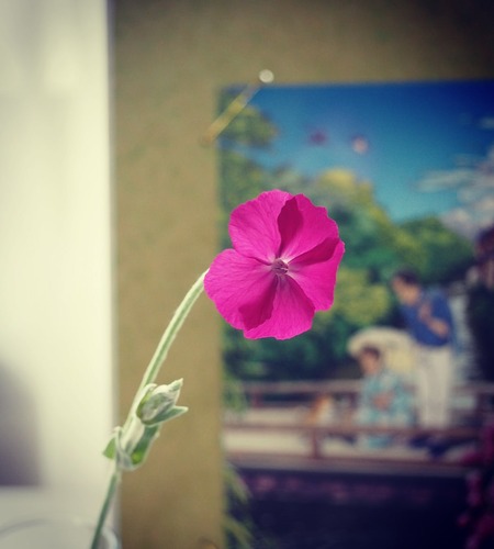 IMG_20210609_092422_359