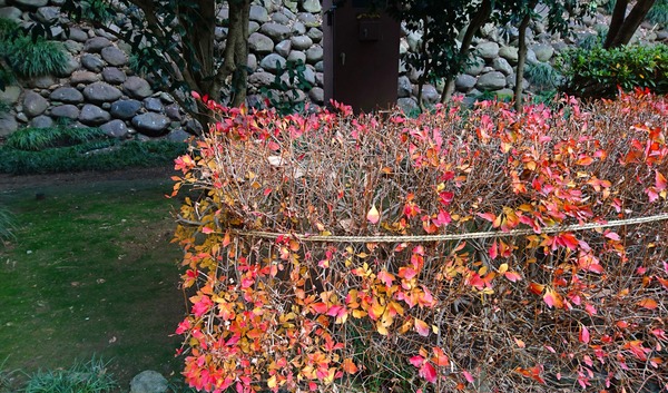 IMG_20161226_230318_558