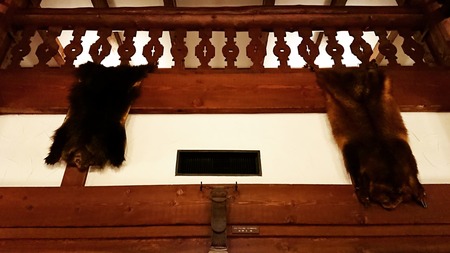 IMG_20180821_105127_979