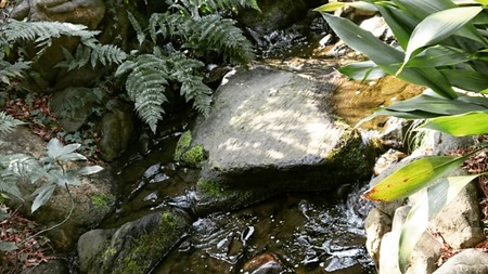 IMG_20190221_230321_104