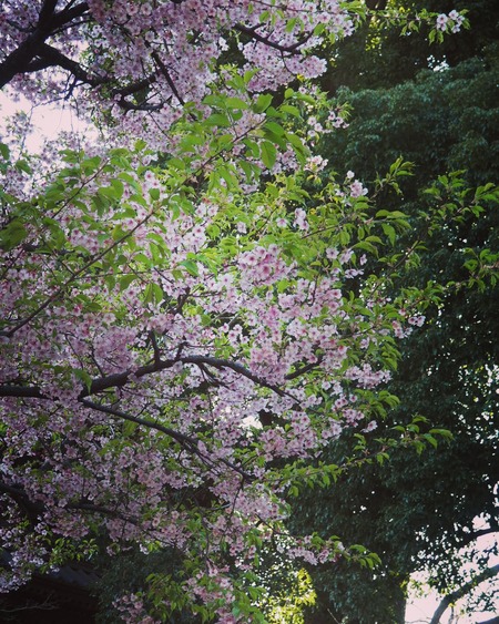 IMG_20190311_014905_144