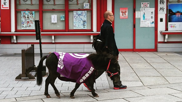 IMG_20171214_181344_799