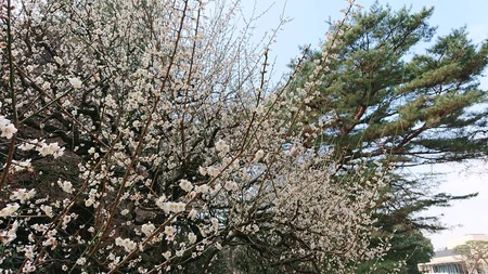 IMG_20190221_225721_504