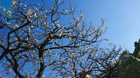 IMG_20200204_124735_250