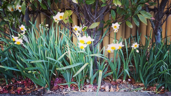 IMG_20180118_142421_356