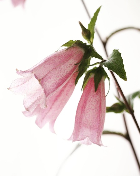 IMG_20190606_161029_913