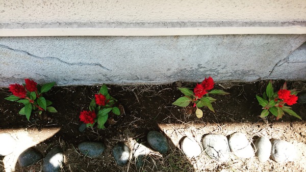 IMG_20170521_103135_428