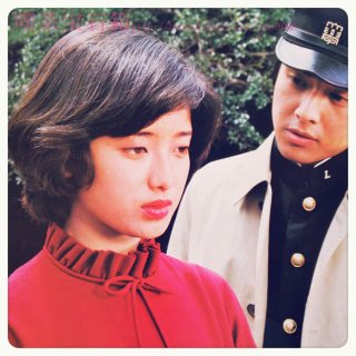 puffer (37)