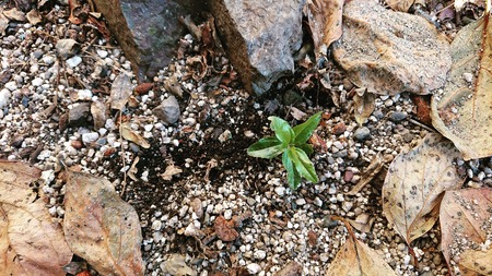 IMG_20181117_191809_940