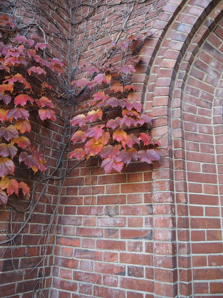 abec5a31-b408-4bff-9d11-a0da4c4b28a9-1_all_169937