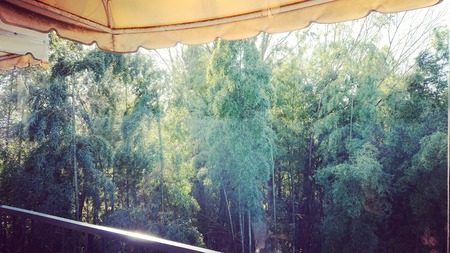 IMG_20191227_095606_745