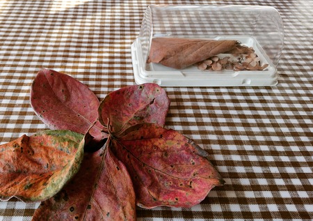 IMG_20181224_150903_177