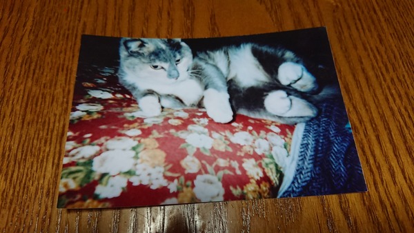 IMG_20180606_171636_710