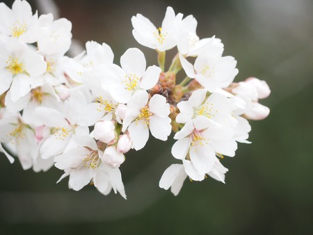 IMG_20210328_125932_523