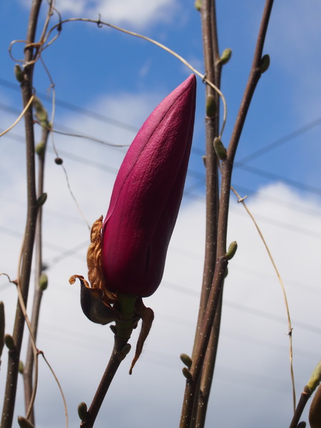 P3030912