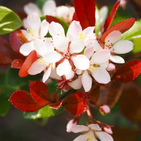 IMG_20200417_150901_649