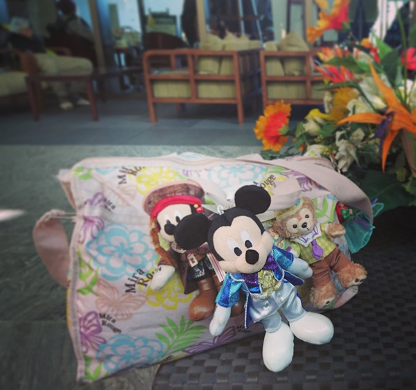 IMG_20171222_093248_739