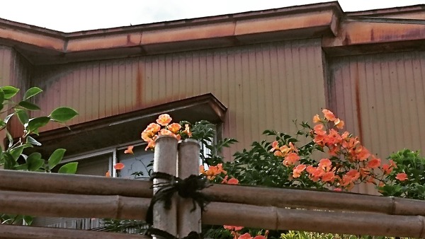 IMG_20170811_173130_709