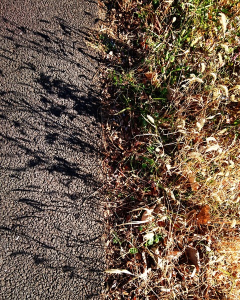 IMG_20180114_232629_029