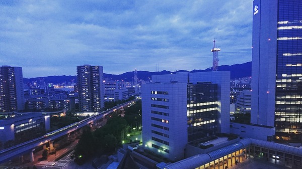 IMG_20170612_133353_348