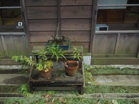 IMG_20200910_185016_843