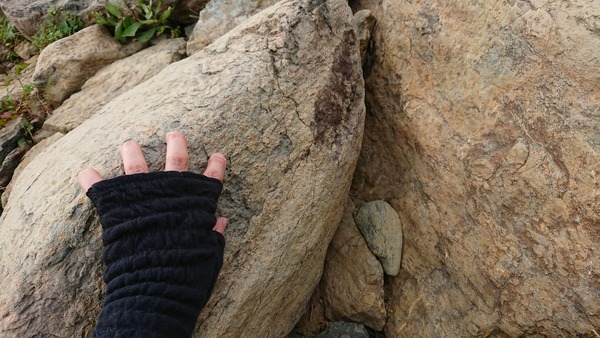 IMG_20180724_100216_799