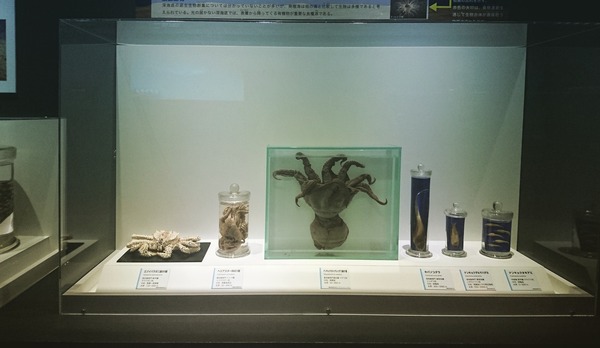 IMG_20170801_110711_345