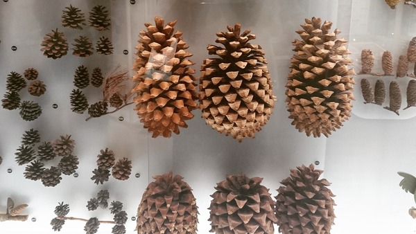 IMG_20170727_171351_300