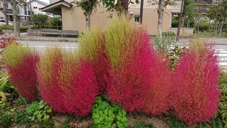 IMG_20181023_201015_092