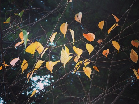 IMG_20191207_095631_249