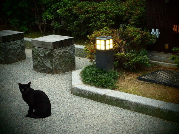 c0352413_20520052 - コピー