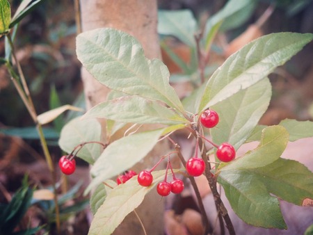 IMG_20191216_161519_749