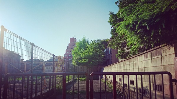 IMG_20170811_165258_188