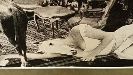 IMG_20190221_095158_585