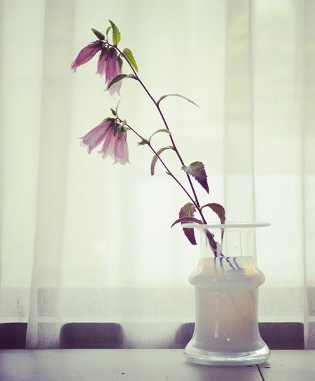 IMG_20190606_160928_797